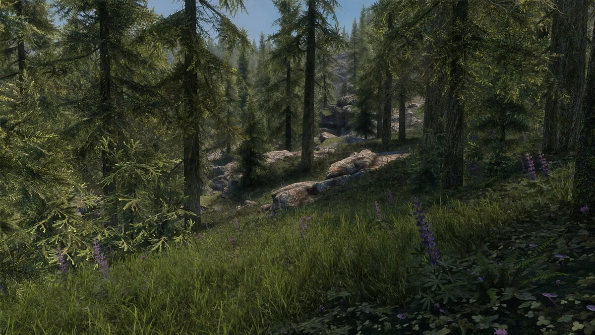 Elder Scrolls 5: Skyrim Special Edition — Сезонные пейзажи