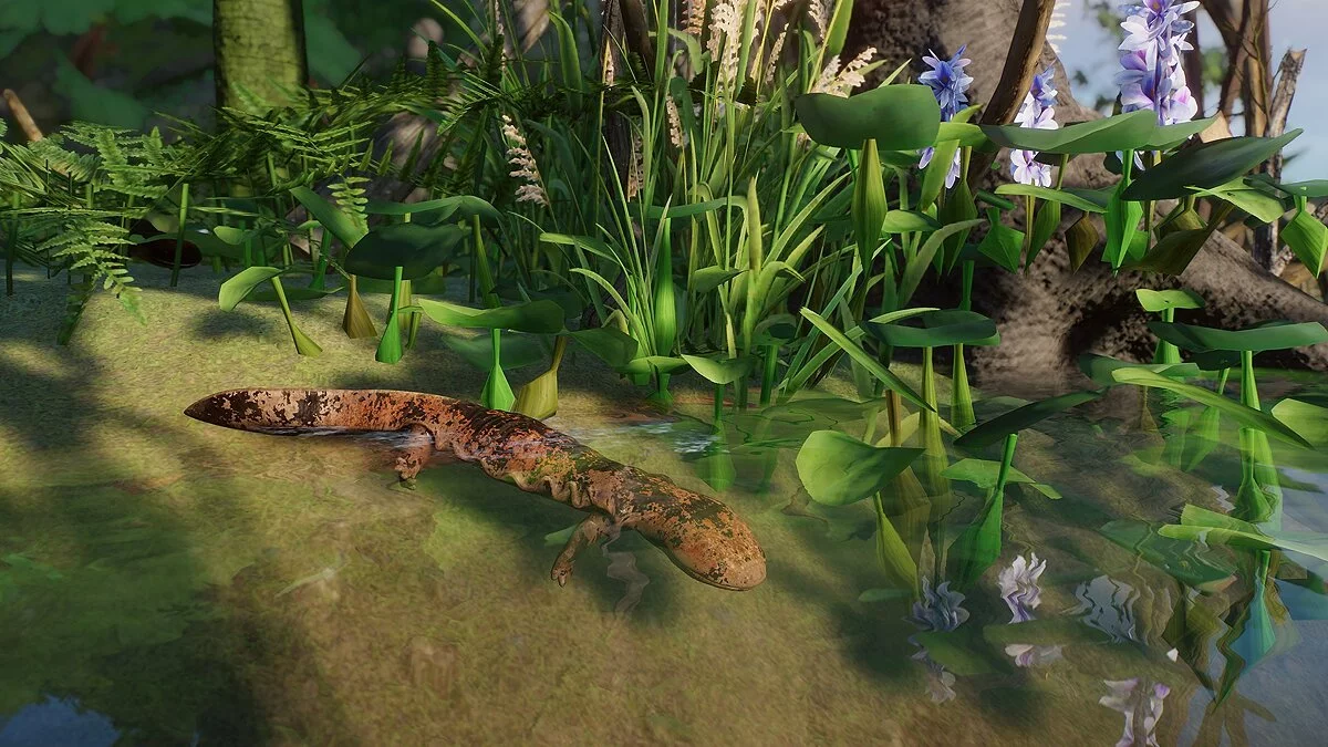 Planet Zoo — Японская гигантская саламандра - новые виды