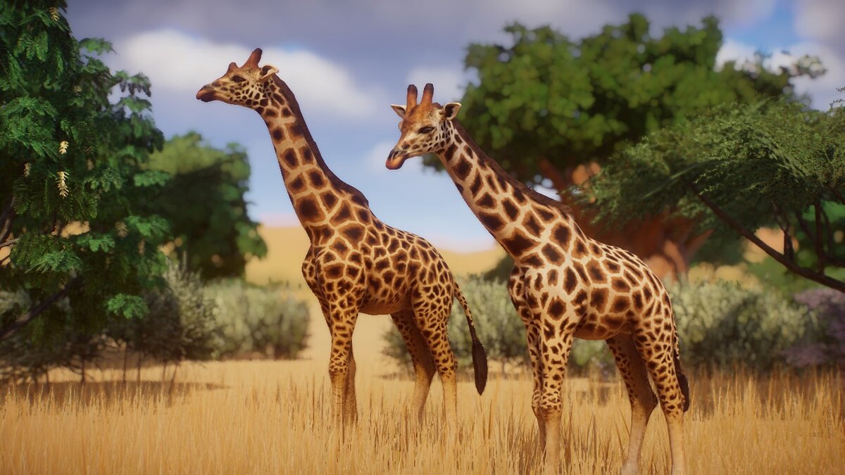 Planet Zoo — Жираф Ротшильда — новые виды