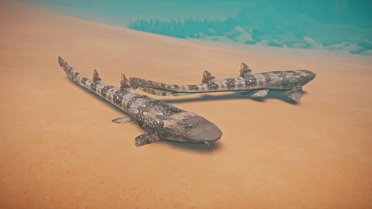 Planet Zoo — Новые виды - бамбуковая акула с белыми пятнами