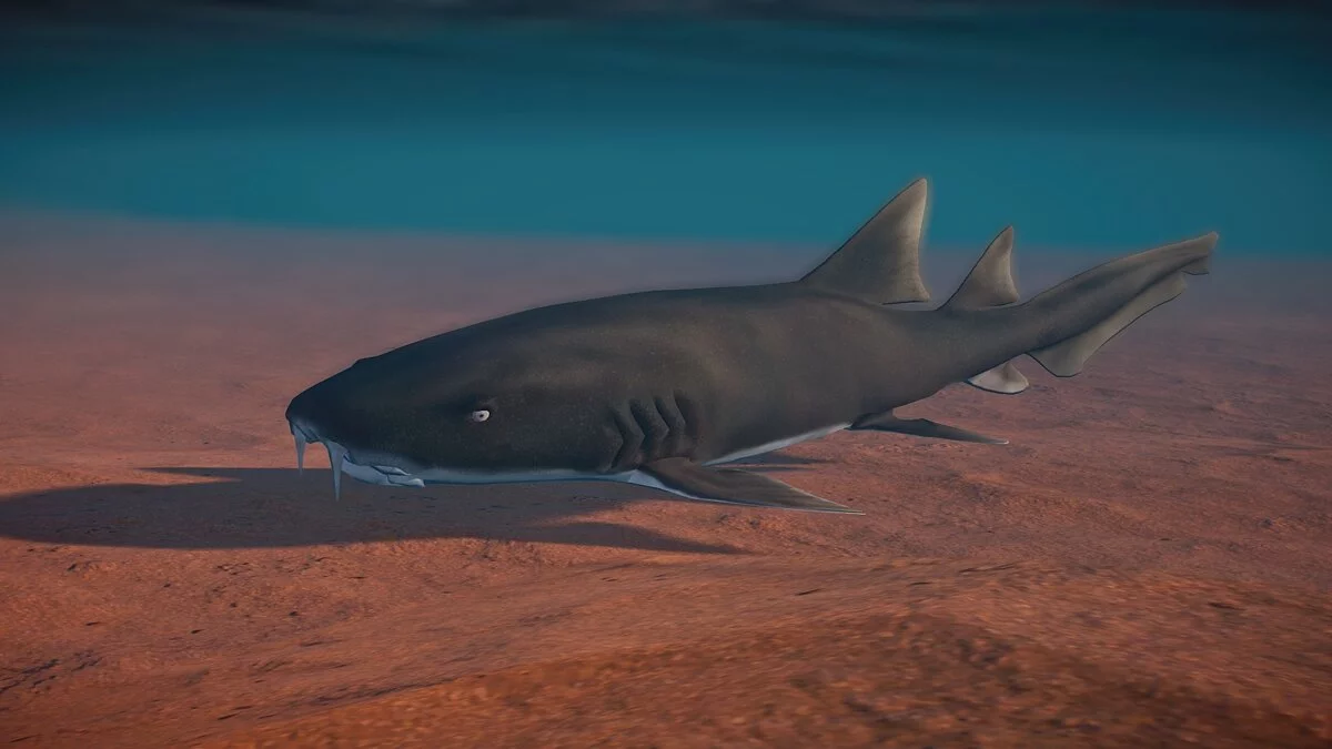 Planet Zoo — Новые виды - акула-нянька