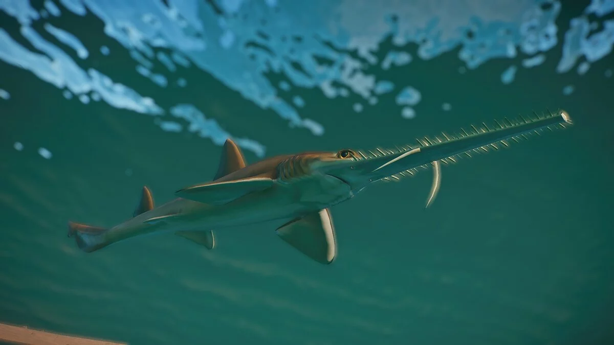 Planet Zoo — Новые виды — шестижаберная акула-пила