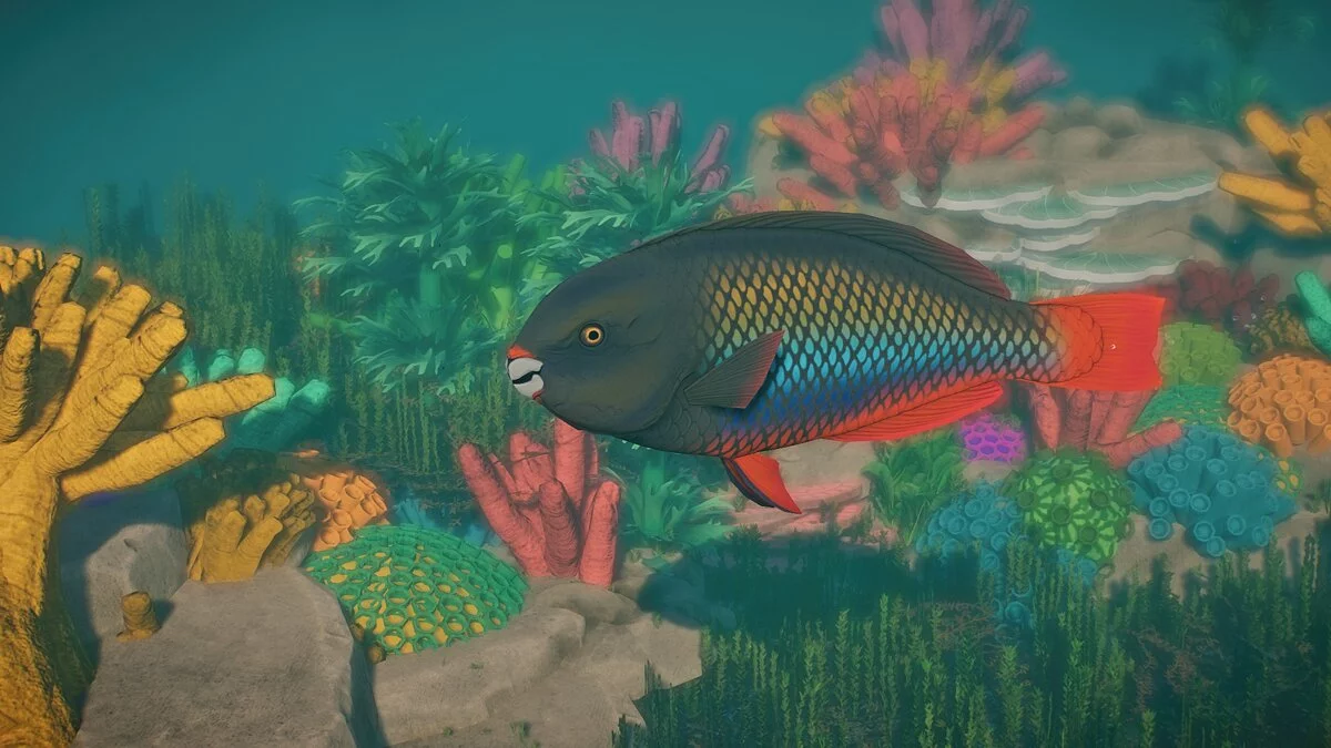 Planet Zoo — Рыба-попугай Куоя — новые виды