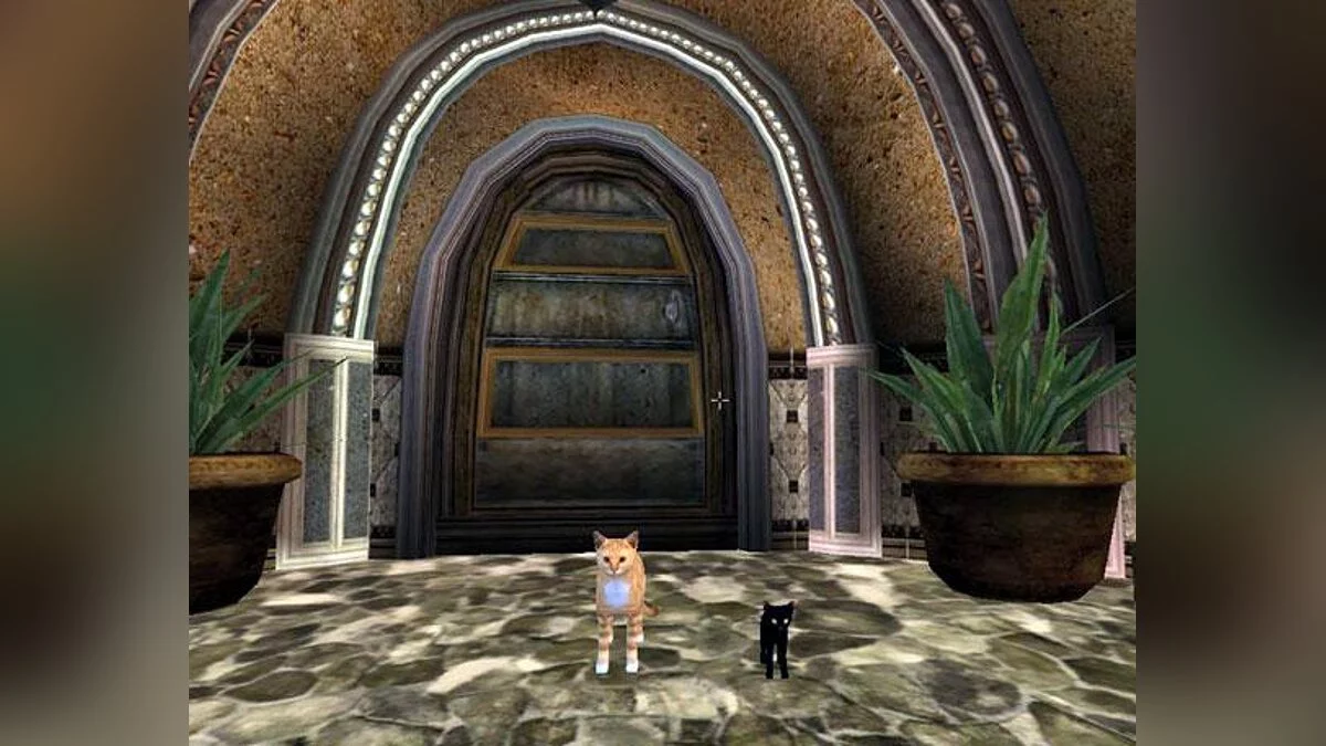 Elder Scrolls 3: Morrowind — Кошки-компаньоны