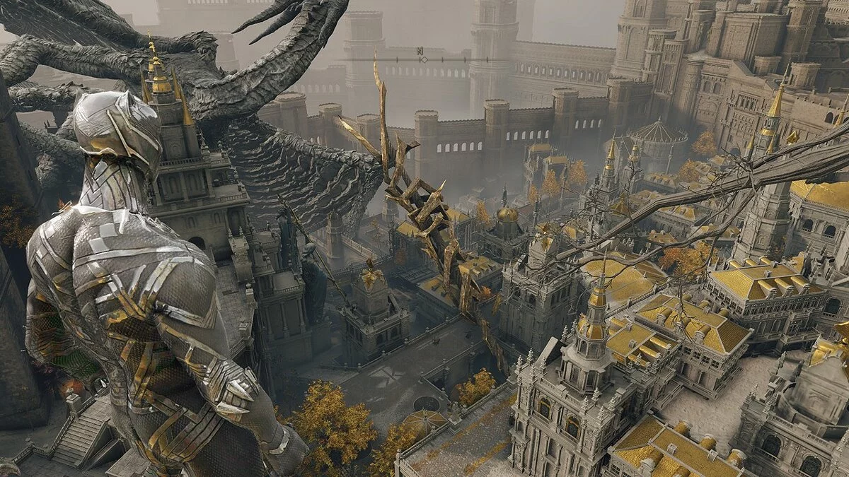 Elden Ring — Черная пантера