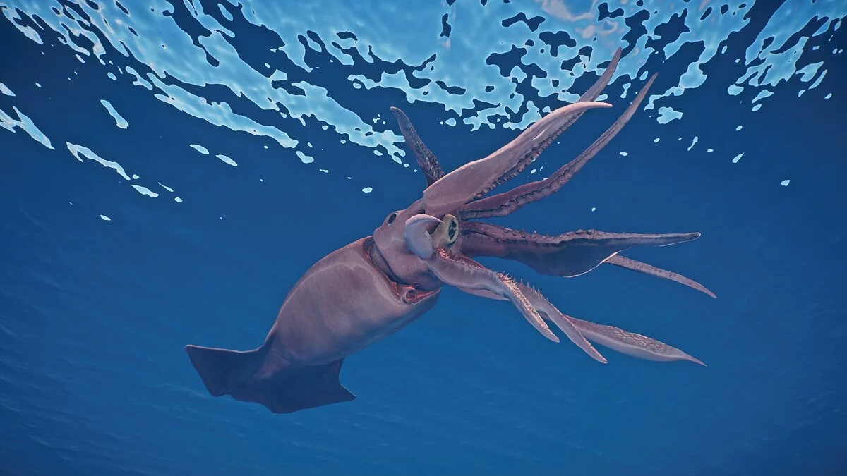 Planet Zoo — Новые виды - кальмар Гумбольдта