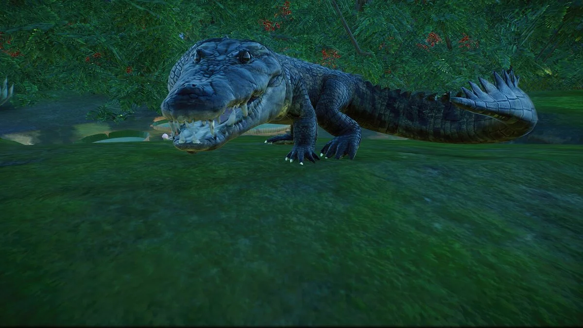 Planet Zoo — Крокодил Морле - новые виды