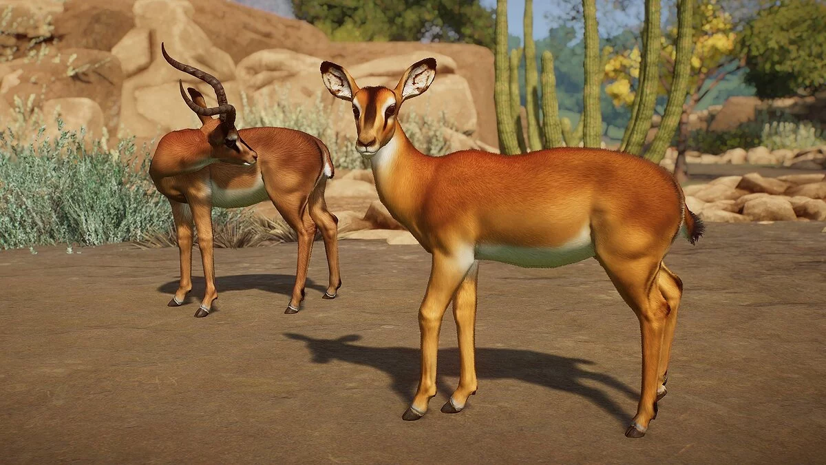 Planet Zoo — Чернолицая импала - новые виды