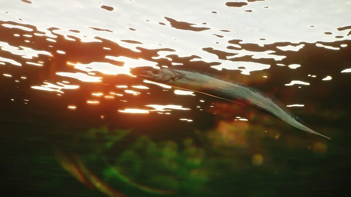 Planet Zoo — Большеголовый волосохвост — новые виды