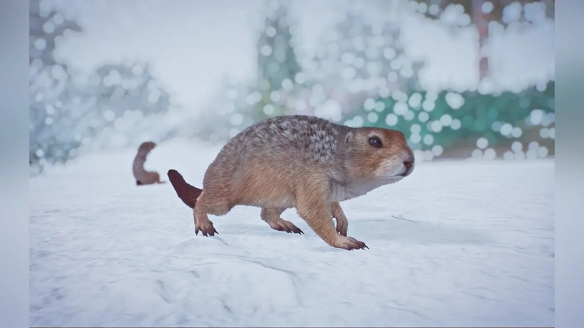 Planet Zoo — Арктический суслик — новый вид