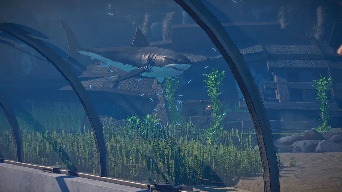 Planet Zoo — Большая белая акула — новые виды