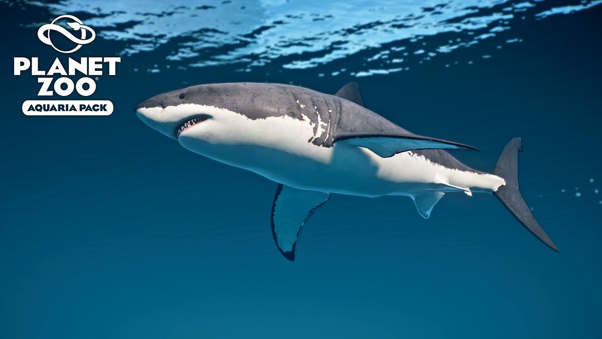 Planet Zoo — Большая белая акула — новые виды