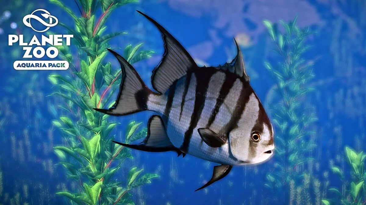 Planet Zoo — Атлантическая лопата - новые виды