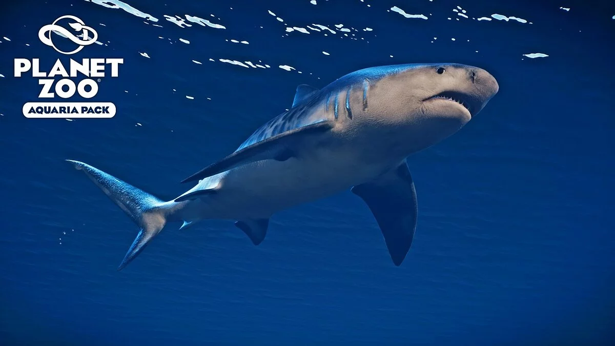 Planet Zoo — Тигровая акула — новые виды