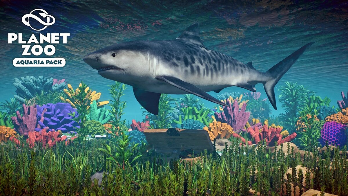Planet Zoo — Тигровая акула — новые виды
