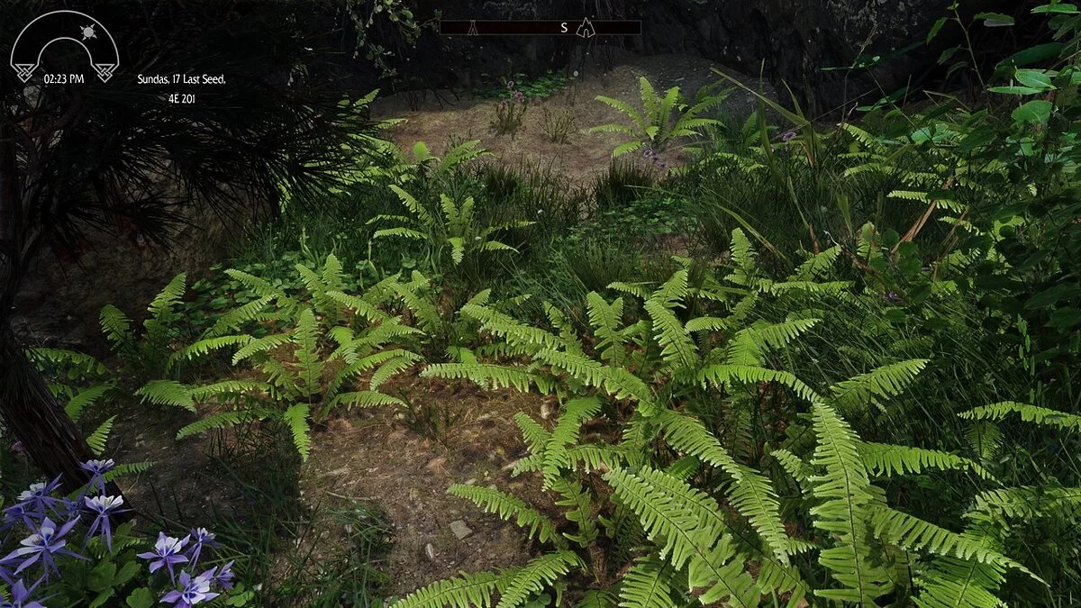 Elder Scrolls 5: Skyrim Special Edition — Реалистичные ландшафты