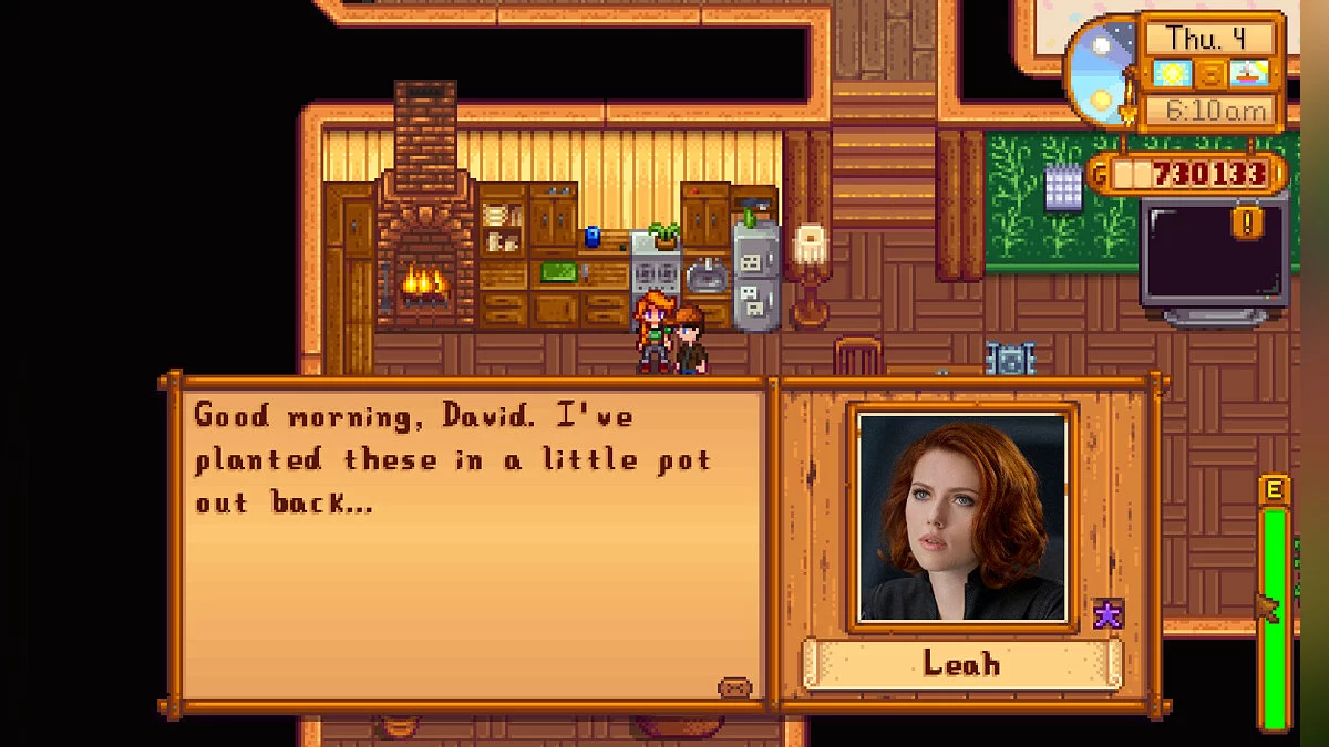 Stardew Valley — Портретная живопись