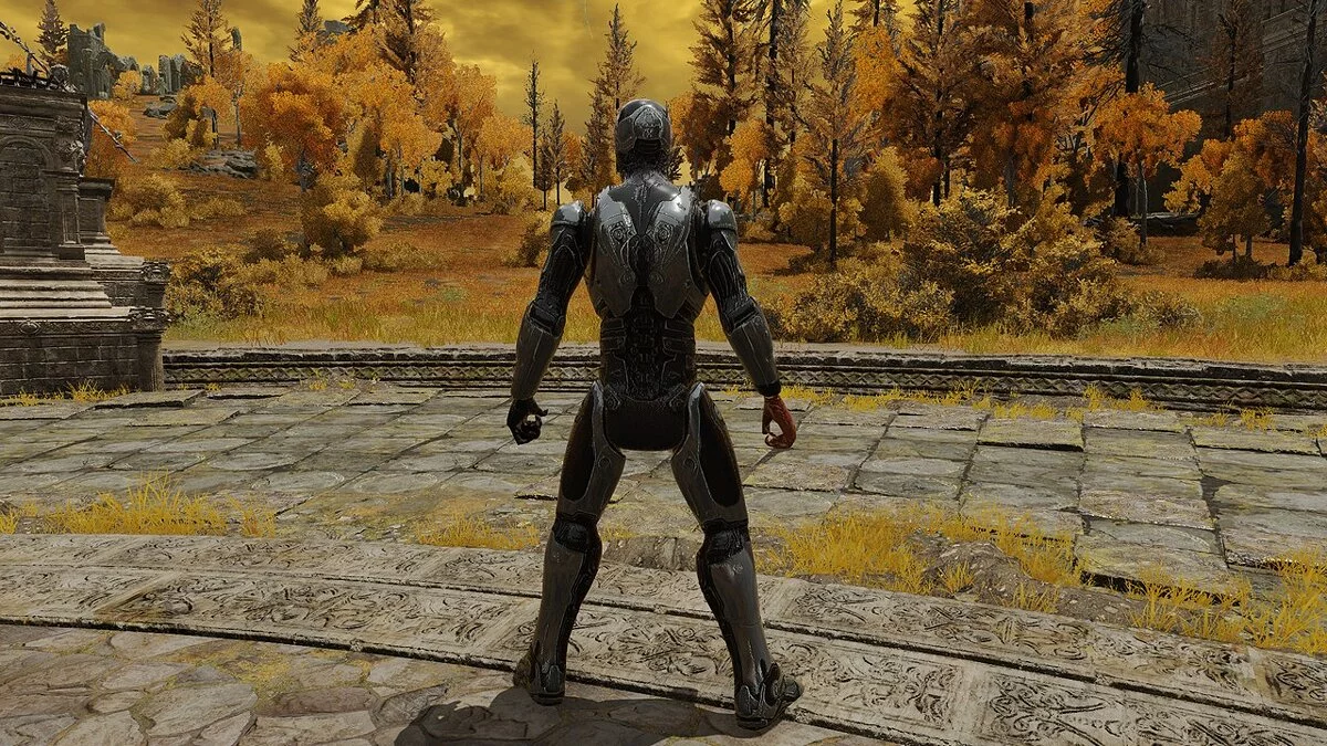 Elden Ring — Робокоп