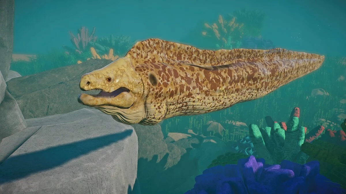 Planet Zoo — Желтоокаймленная мурена - новый вид