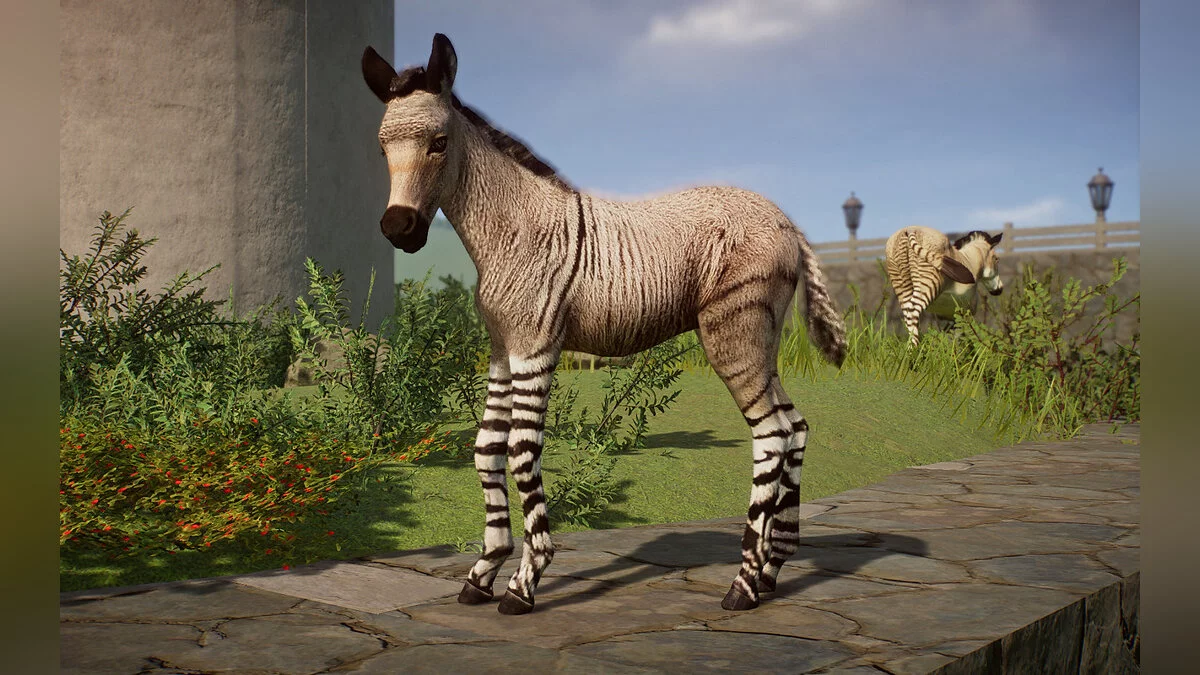 Planet Zoo — Зонки - новые виды