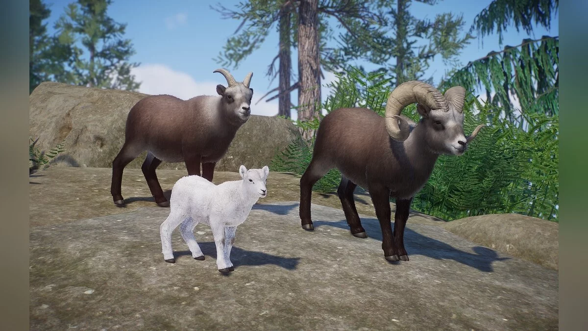 Planet Zoo — Снежный баран — новые виды