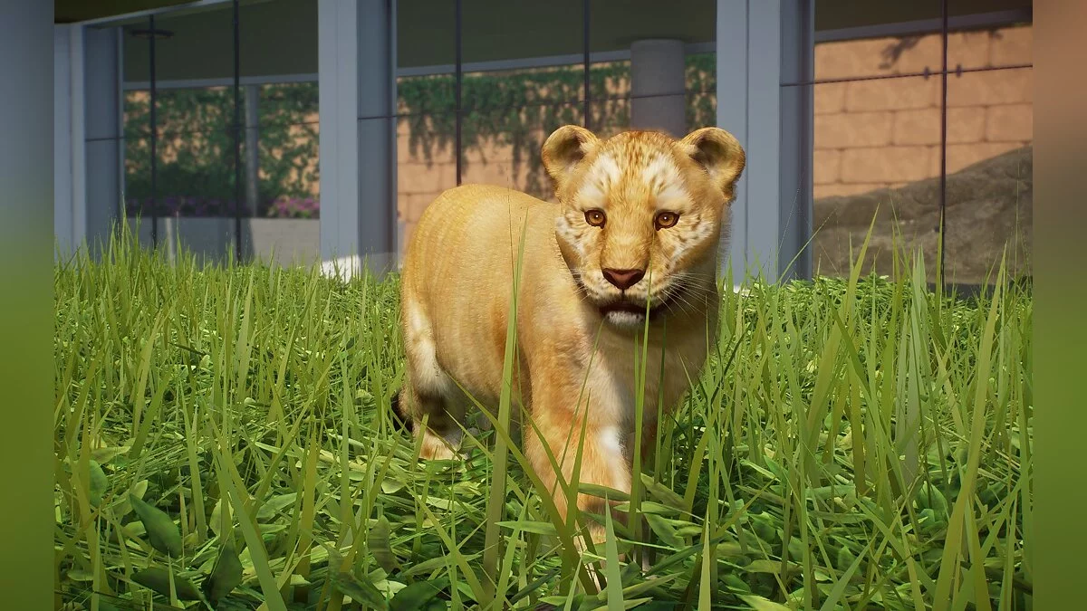 Planet Zoo — Лигр-новый вид