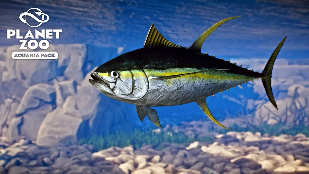 Planet Zoo — Желтоперый тунец — новые виды