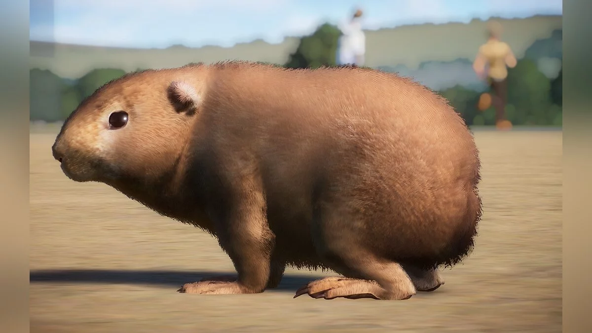 Planet Zoo — Домашняя морская свинка - новый вид