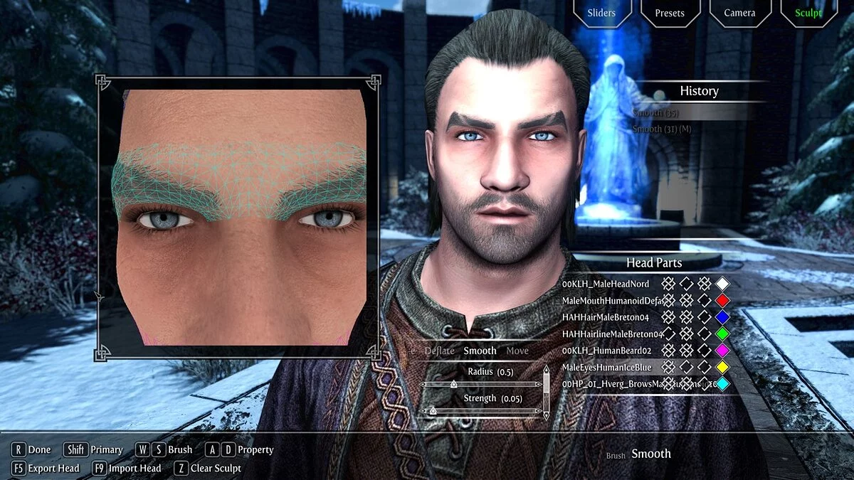 Elder Scrolls 5: Skyrim Special Edition — Дополнительные брови