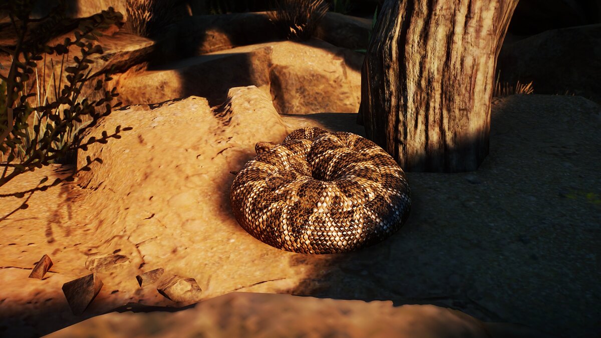 Planet Zoo — Толстая гремучая змея