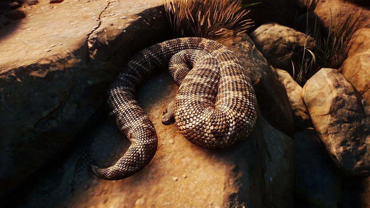 Planet Zoo — Толстая гремучая змея