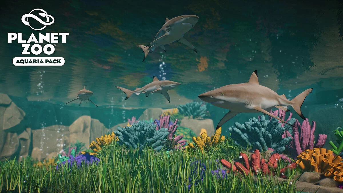 Planet Zoo — Чернопёрая рифовая акула — новые виды