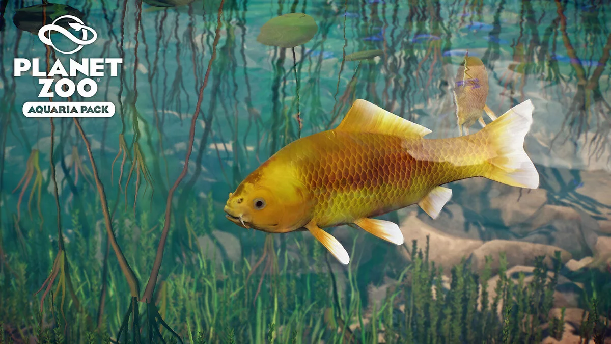 Planet Zoo — Кои - новые виды