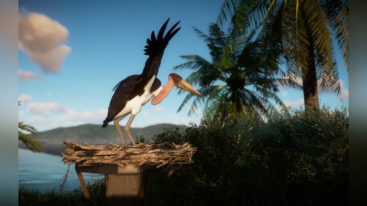 Planet Zoo — Аист марабу - новые виды