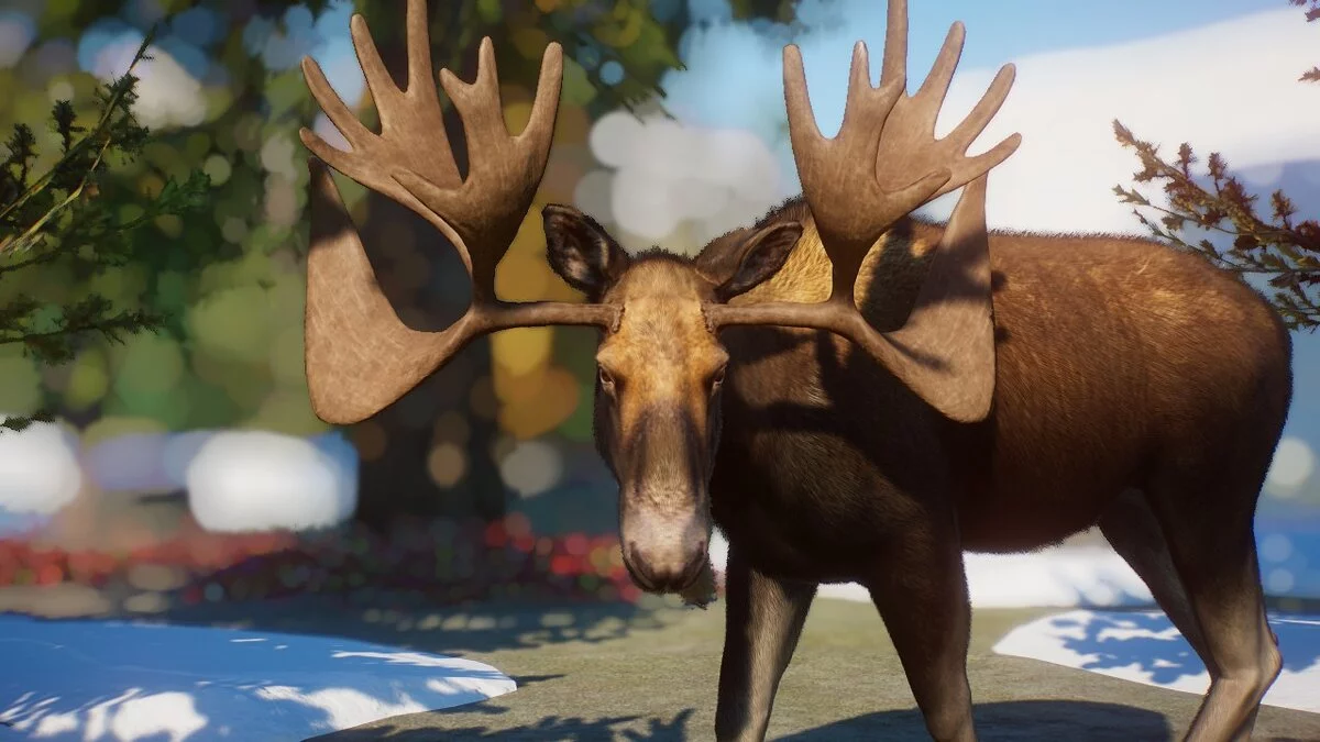 Planet Zoo — Лоси-олени - новые виды