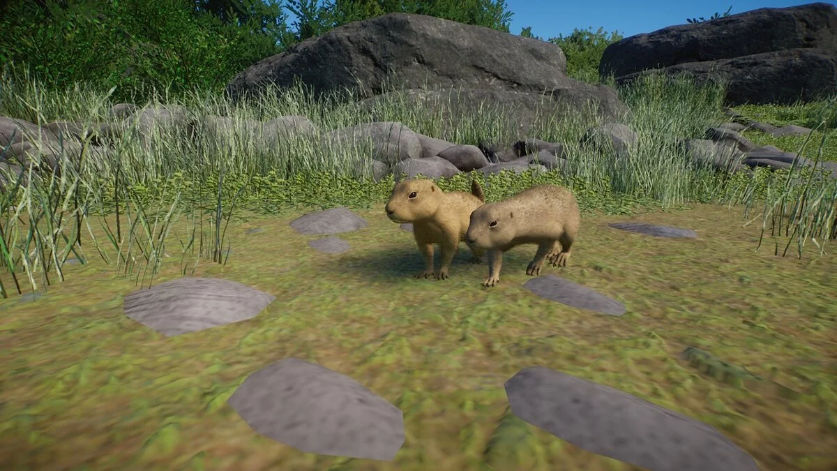 Planet Zoo — Европейский суслик - новый вид