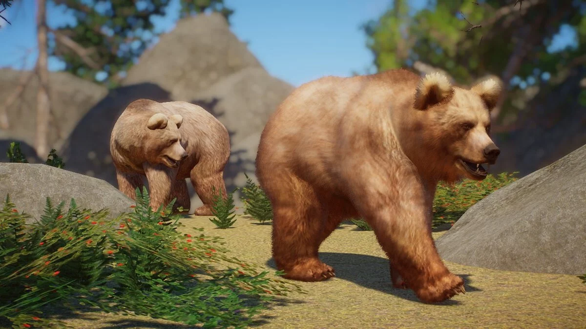 Planet Zoo — Ремастер гималайского бурого медведя