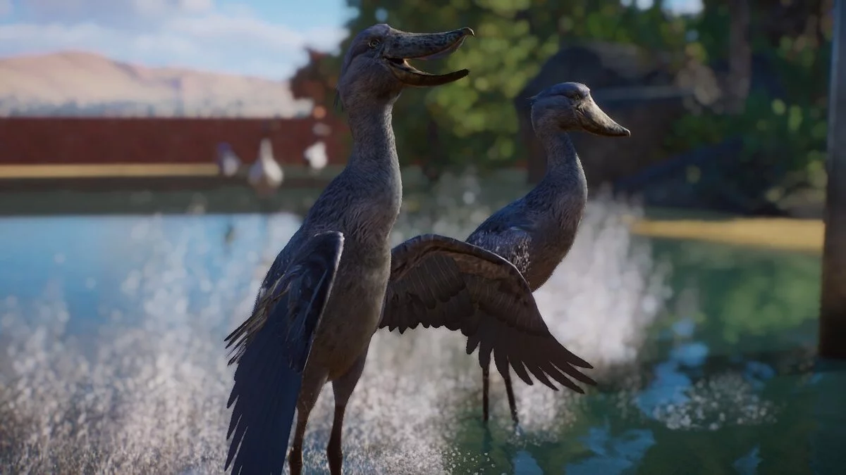 Planet Zoo — Китоглав - новые виды