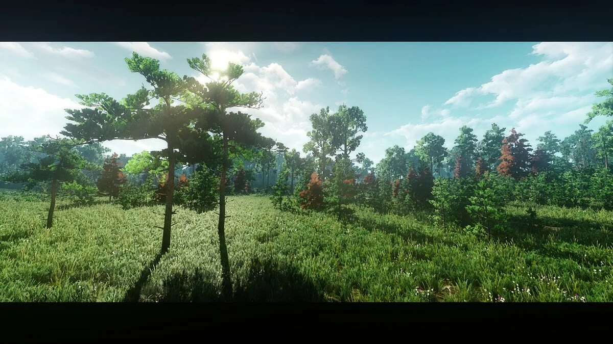 The Witcher 3: Wild Hunt - Complete Edition — Реалистичный решейд