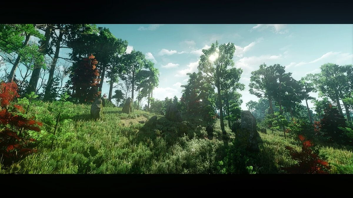 The Witcher 3: Wild Hunt - Complete Edition — Реалистичный решейд