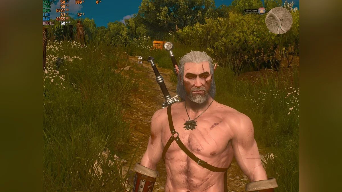 The Witcher 3: Wild Hunt - Complete Edition — Геральт - эльф