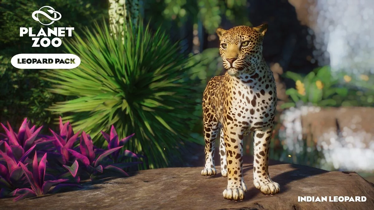 Planet Zoo — Набор леопардов