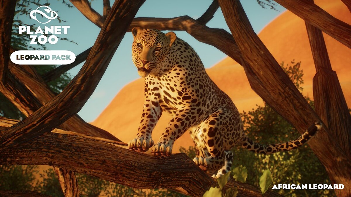 Planet Zoo — Набор леопардов