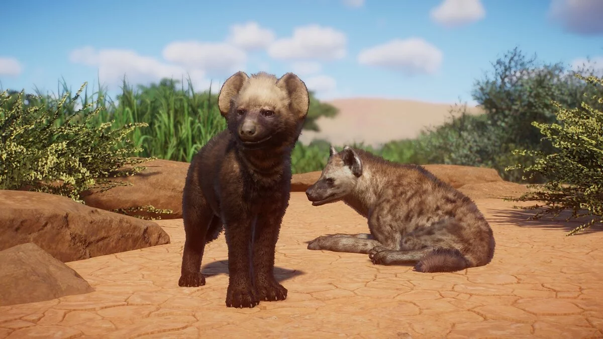 Planet Zoo — Пятнистая гиена, ремастер