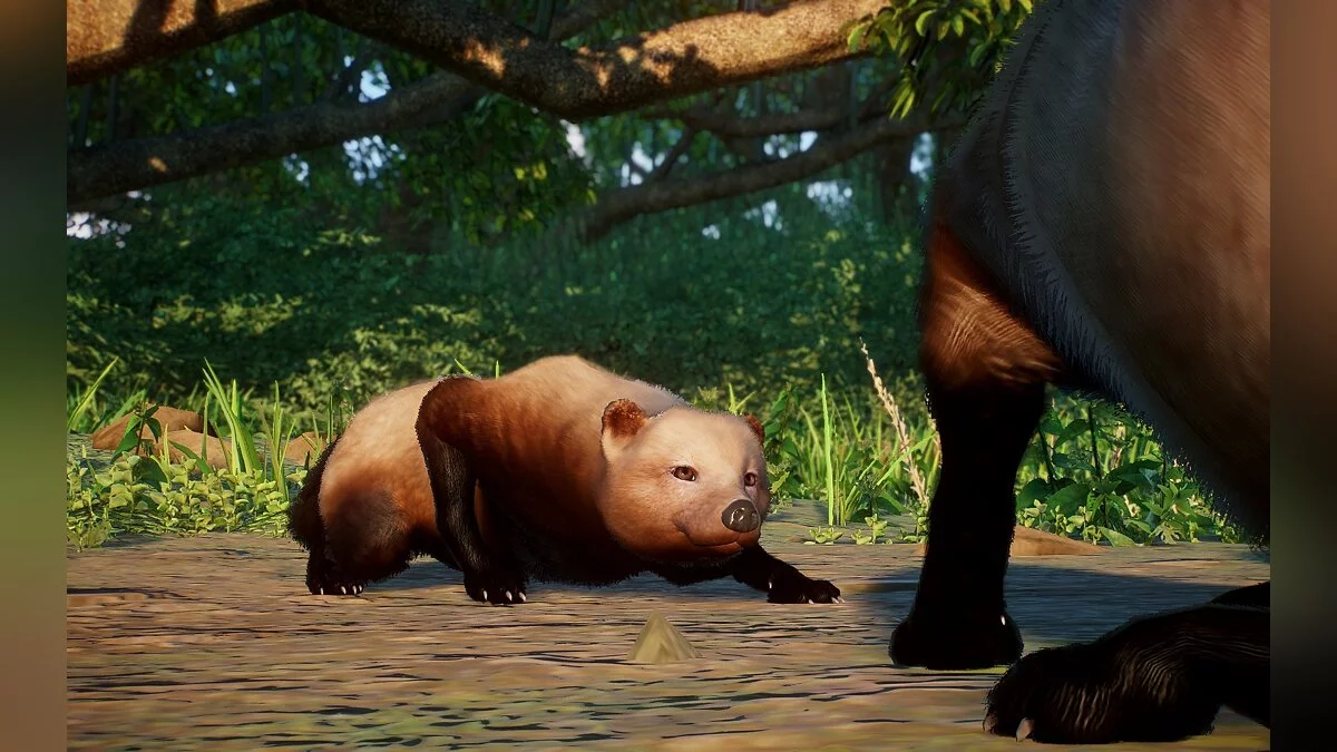 Planet Zoo — Кустарниковая собака - новый вид