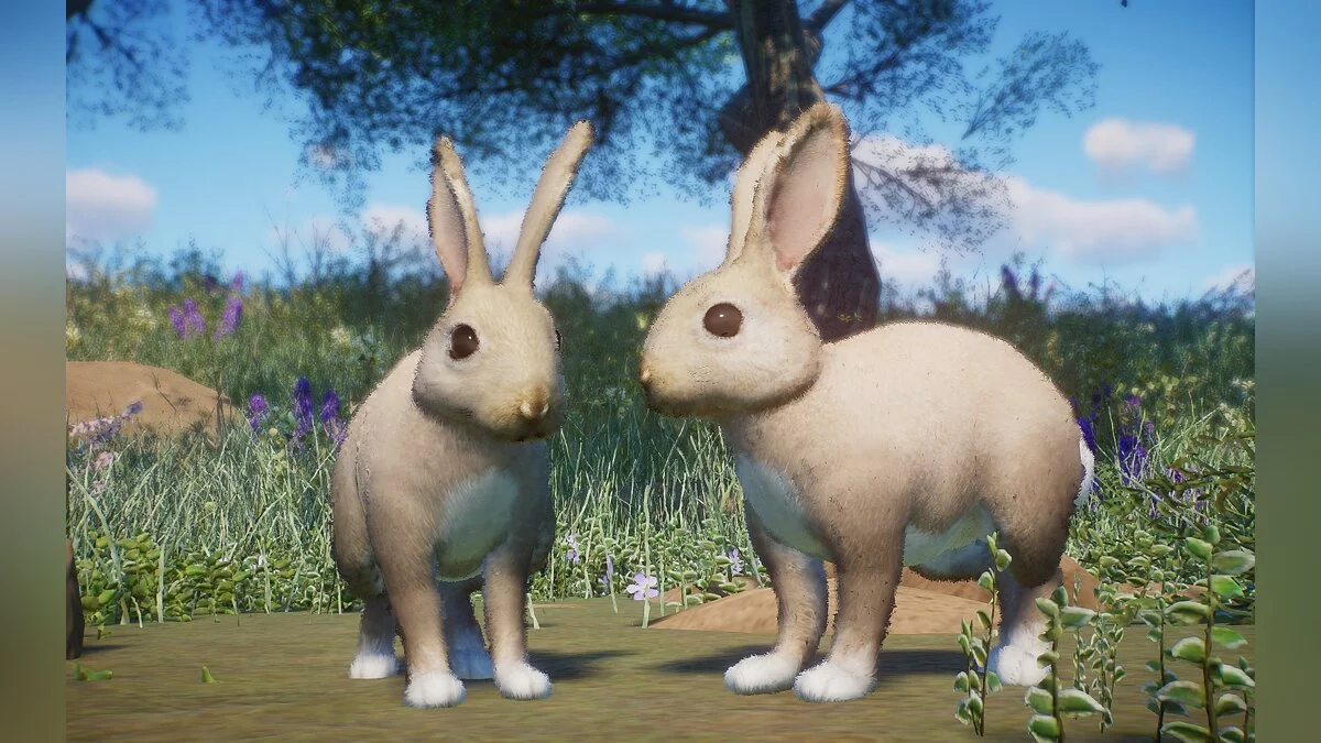 Planet Zoo — Европейский кролик - новые виды