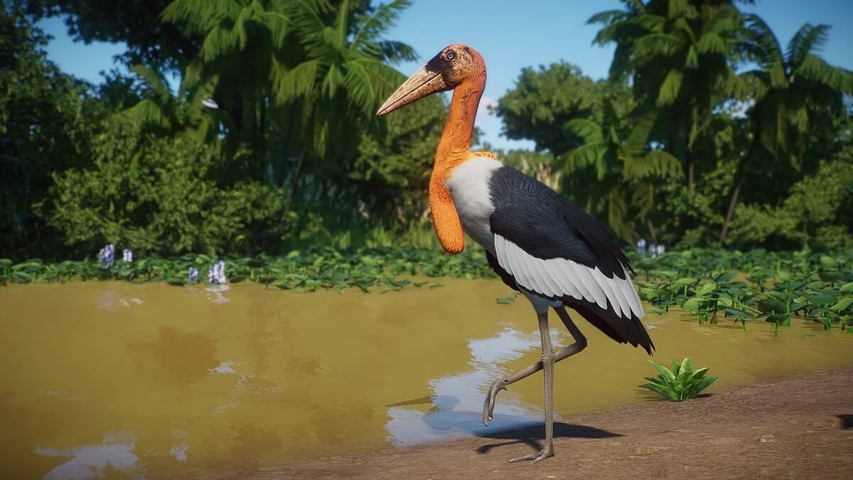 Planet Zoo — Новые виды - старший адъютант