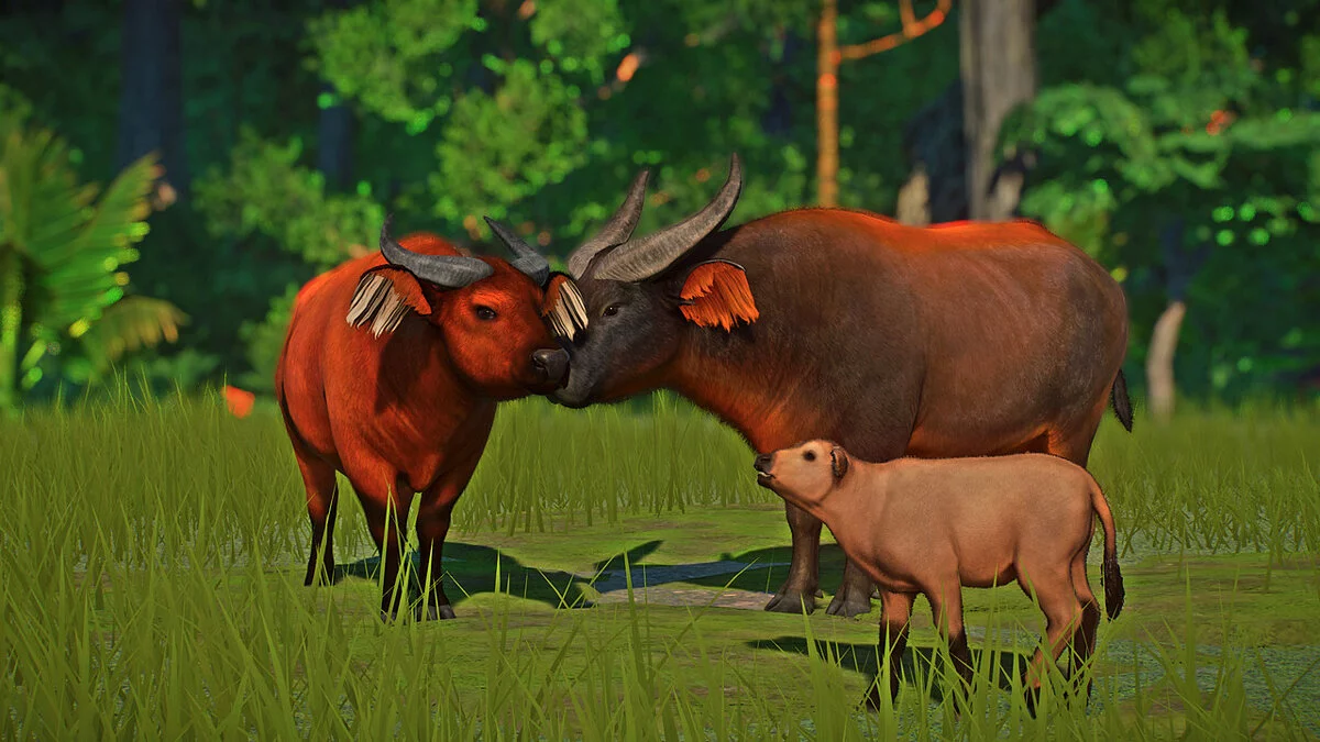 Planet Zoo — Африканский лесной буйвол — новый вид