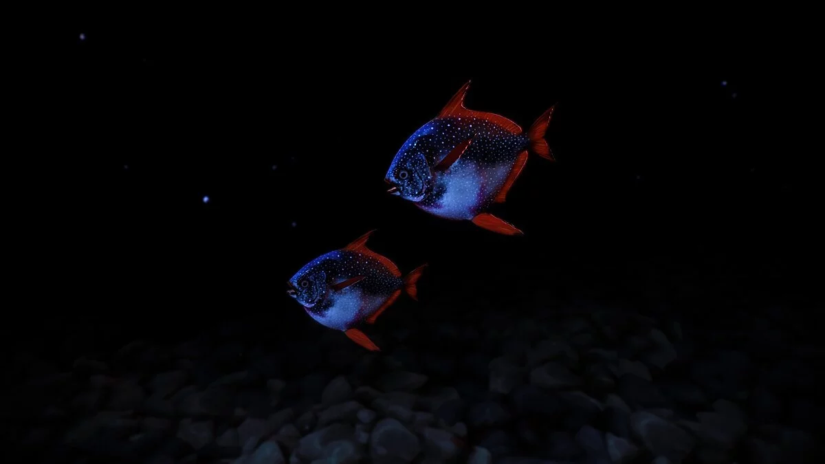 Planet Zoo — Атлантический опах - новые виды