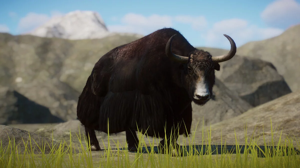 Planet Zoo — Дикий як — новые виды